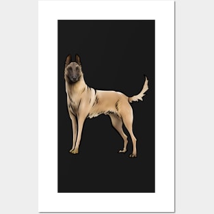Belgian Malinois Dog Posters and Art